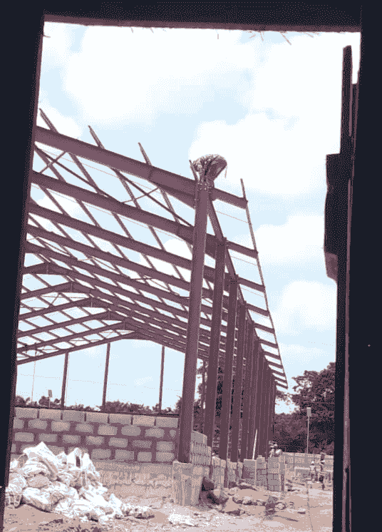 Section image
