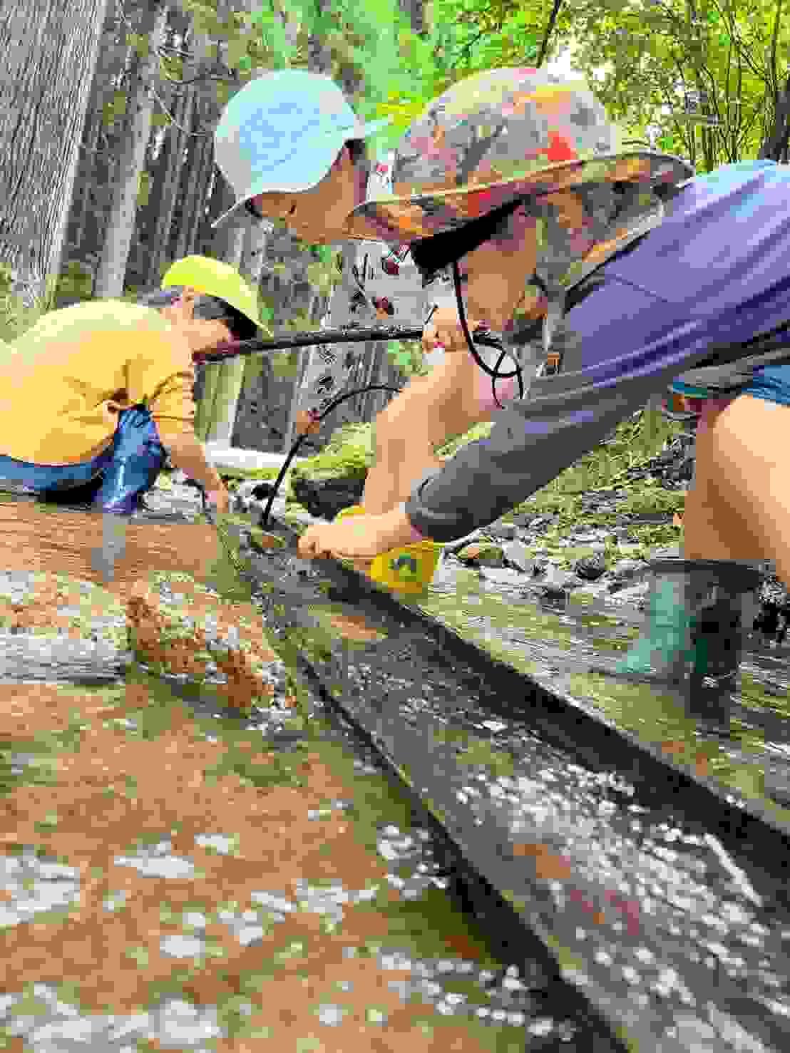 Through various activities, we draw out the children's spirit of challenge. nurture a heart that challenges Characteristics of forest kindergarten Starting nursery school study abroad at the wildest kindergarten in Japan located in Tottori Prefecture! Features are as follows: "The wildest kindergarten in Japan" founded by "challengers". Support for visits and stays by dedicated concierge. Encounters that stimulate curiosity. Through various activities, we draw out the children's spirit of challenge. nurture a heart that challenges Characteristics of forest kindergarten Starting nursery school study abroad at the wildest kindergarten in Japan located in Tottori Prefecture! Features are as follows: "The wildest kindergarten in Japan" founded by "challengers". Support for visits and stays by dedicated concierge. Encounters that stimulate curiosity.