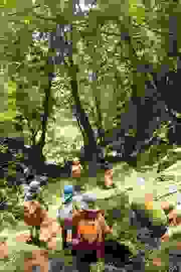 Children play in nature, stimulating the five senses and nurturing creativity. interaction with nature Characteristics of forest kindergarten Starting nursery school study abroad at the wildest kindergarten in Japan located in Tottori Prefecture! Features are as follows: "The wildest kindergarten in Japan founded by challengers. Support for visits and stays by dedicated concierges. Encounters that stimulate curiosity." Children play in nature, stimulating the five senses and nurturing creativity. interaction with nature Characteristics of forest kindergarten Starting nursery school study abroad at the wildest kindergarten in Japan located in Tottori Prefecture! Features are as follows: "The wildest kindergarten in Japan founded by challengers. Support for visits and stays by dedicated concierges. Encounters that stimulate curiosity."