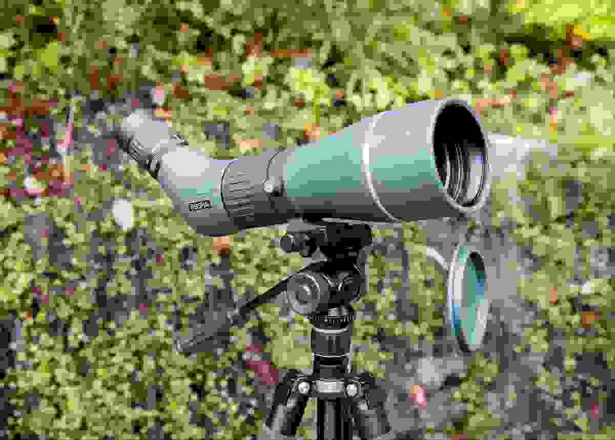 Section image