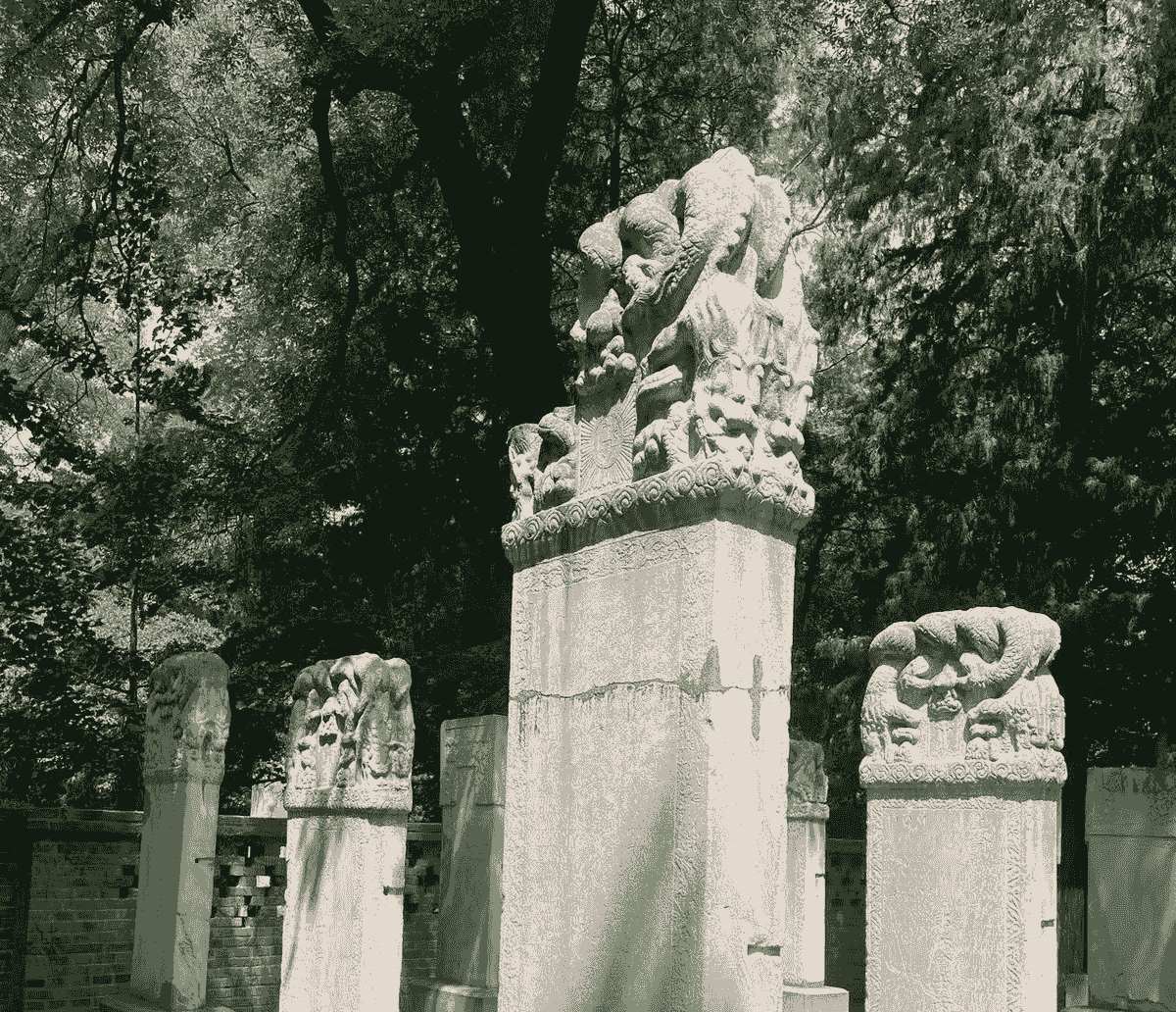 Section image