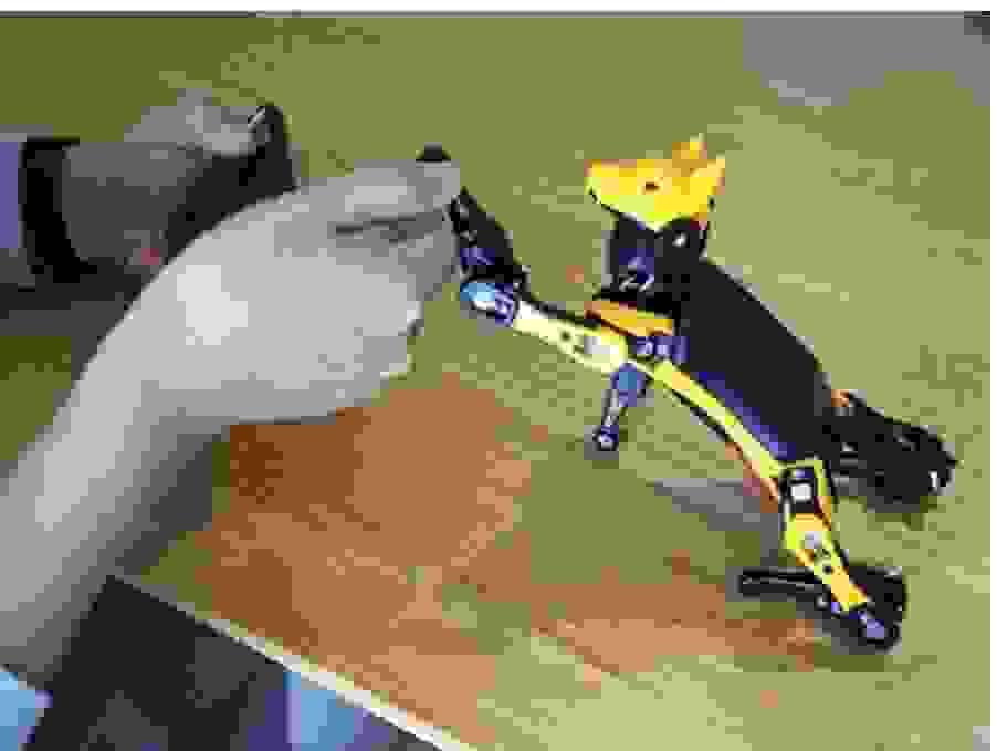 broken image