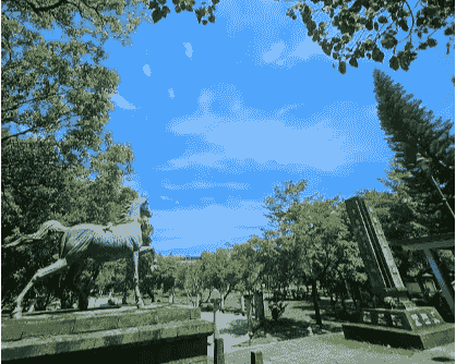 Section image