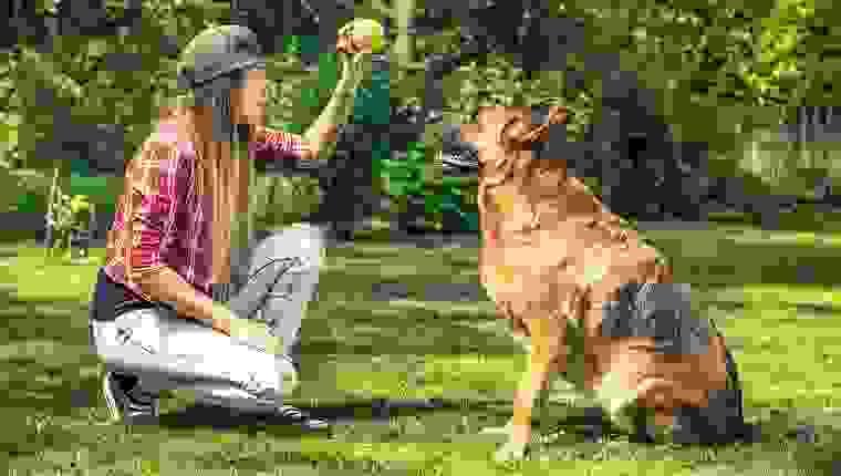 broken image