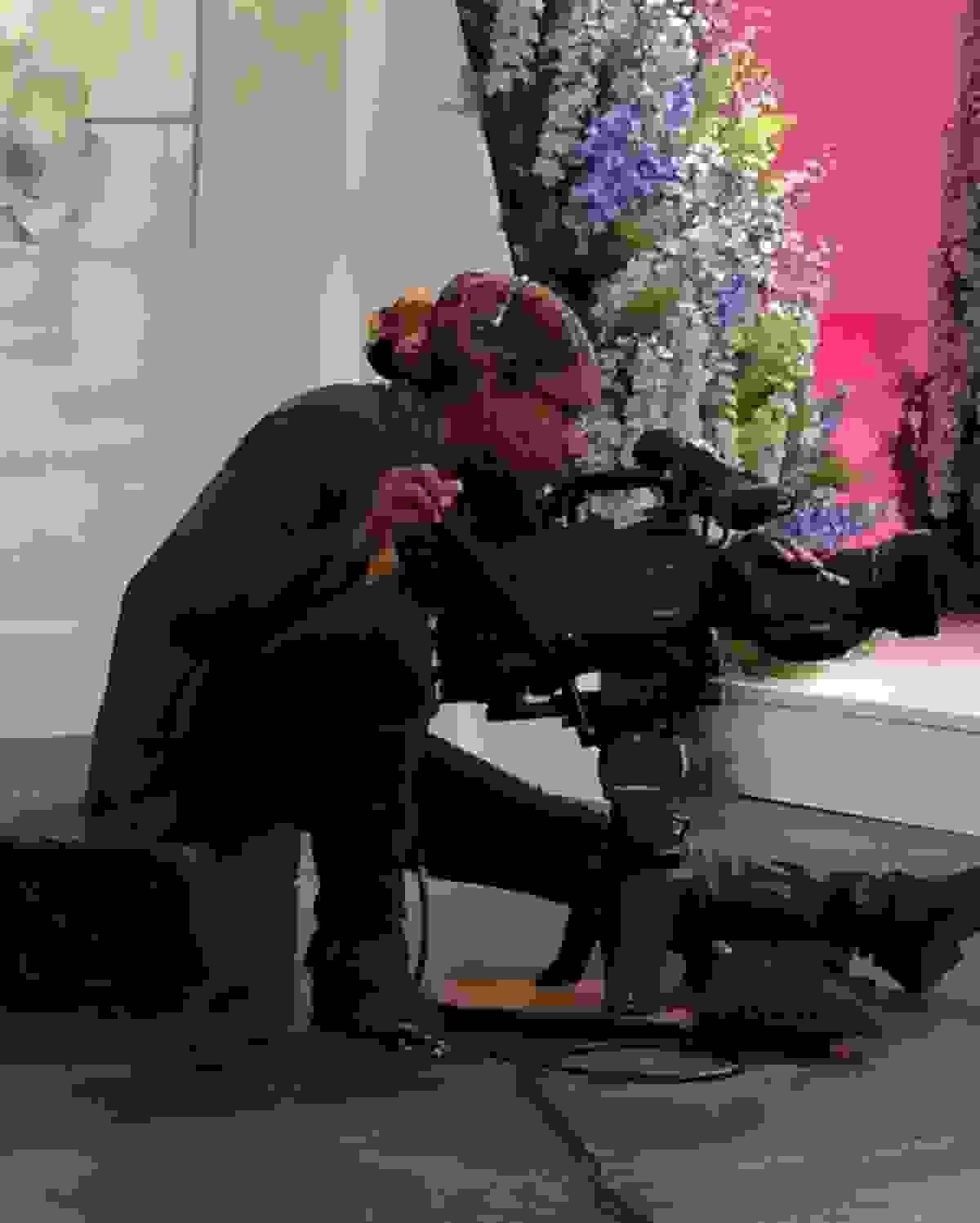 Professional pose on a sunny day Professional pose on a sunny day