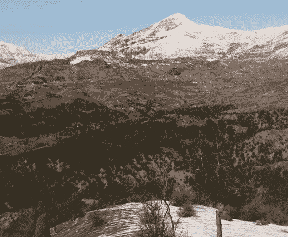 Section image