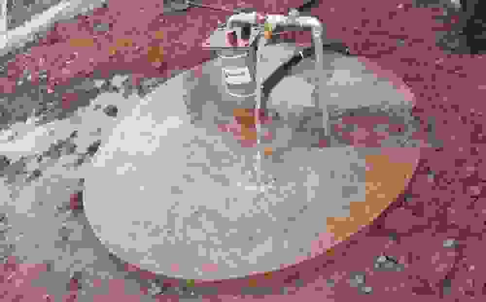 Section image