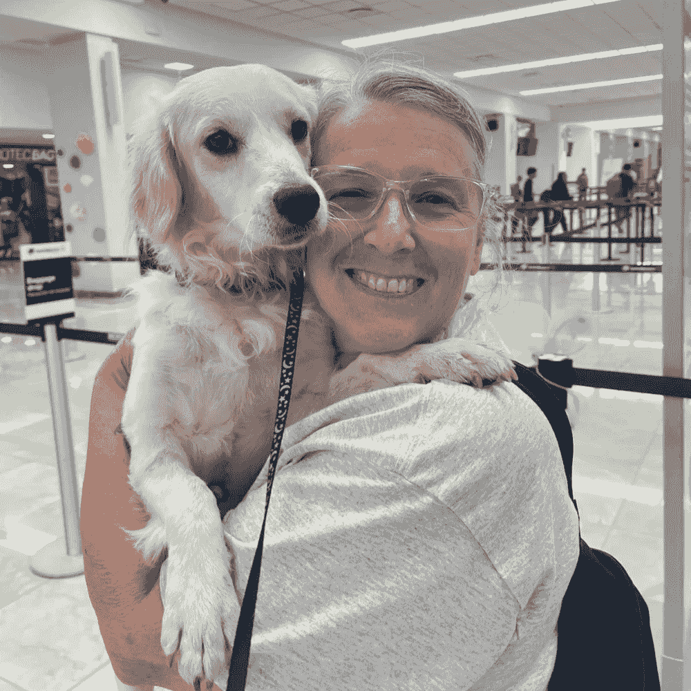 Woman holding a dog at the airport before travel. Woman holding a dog at the airport before travel.