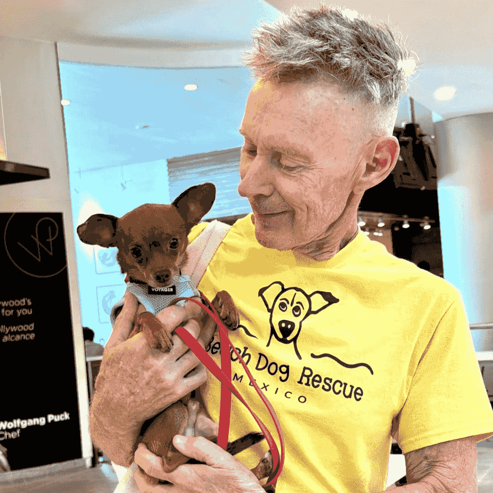 Beach Dog Rescue founder holding a rescued puppy before adoption. Beach Dog Rescue founder holding a rescued puppy before adoption.