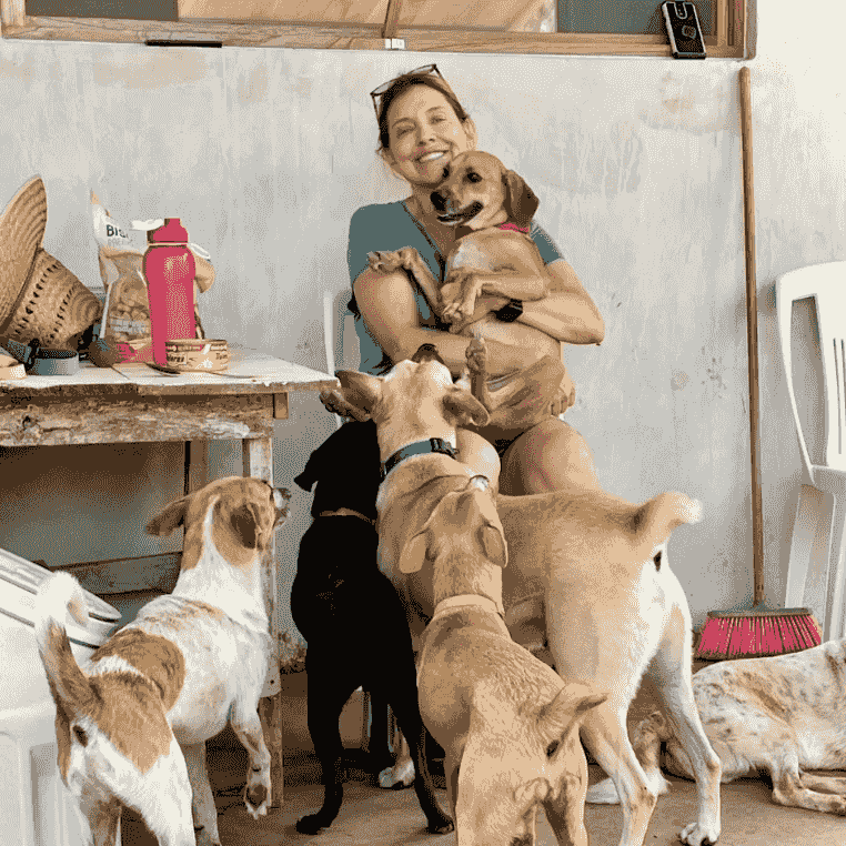 Heather with many dogs surrounding her. Heather with many dogs surrounding her.