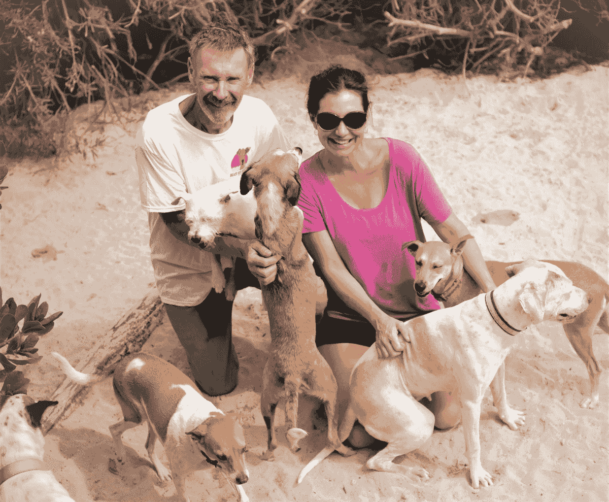 Beach Dog Rescue founders surrounded by rescued dogs on a beach in Mexico. Beach Dog Rescue founders surrounded by rescued dogs on a beach in Mexico.