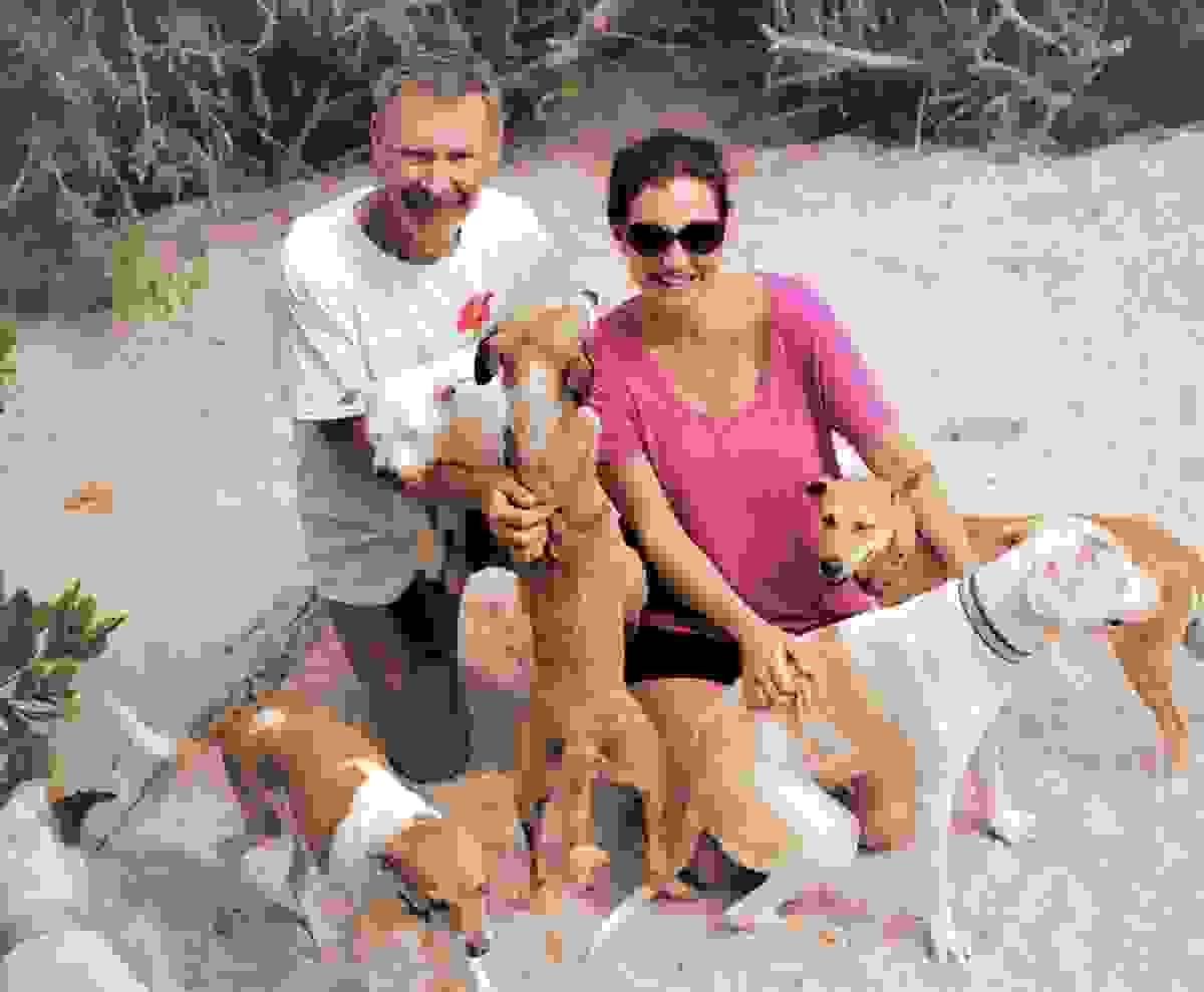 Beach Dog Rescue founders surrounded by rescued dogs on a beach in Mexico. Beach Dog Rescue founders surrounded by rescued dogs on a beach in Mexico.
