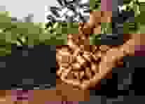 Our process of transformation allows us to enhance our products, while ensuring their marketing in local and international markets. Transformation and commercialization Our Mission We do production, collection, storage, transformation and marketing of products including coffee, cocoa, rubber, palm, food crops, livestock products and other agricultural products of the members. Our process of transformation allows us to enhance our products, while ensuring their marketing in local and international markets. Transformation and commercialization Our Mission We do production, collection, storage, transformation and marketing of products including coffee, cocoa, rubber, palm, food crops, livestock products and other agricultural products of the members.