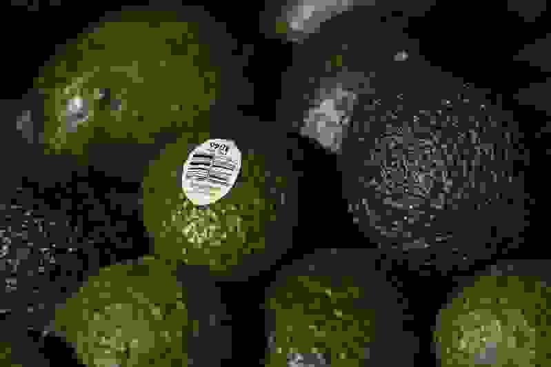 Section image