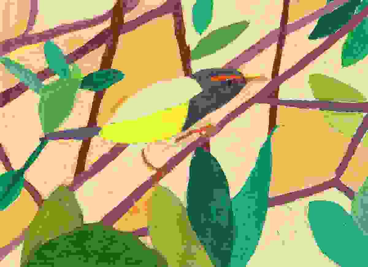Section image