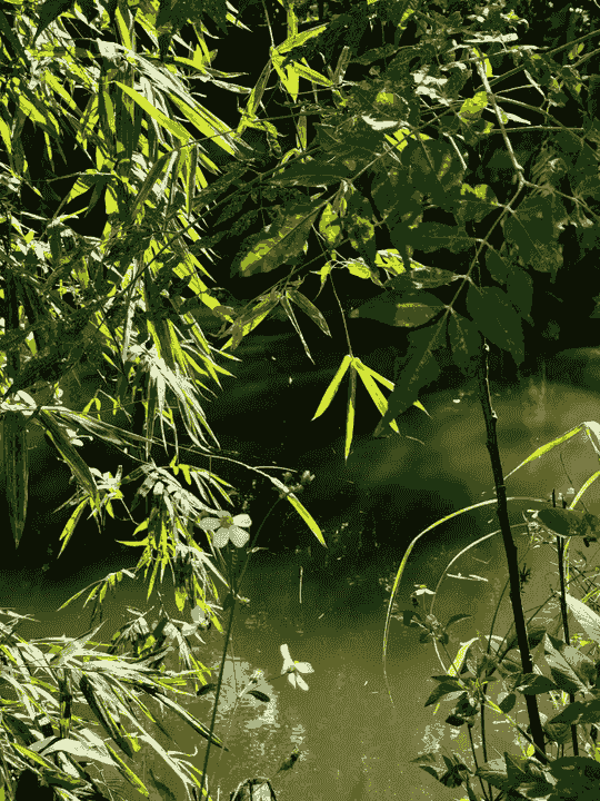 Access a variety of assessment tools to evaluate student progress and ensure mastery of IB Science topics. Assessment Tools What We Offer Sell Plan IB Science Lessons and Teaching Resources. Access a variety of assessment tools to evaluate student progress and ensure mastery of IB Science topics. Assessment Tools What We Offer Sell Plan IB Science Lessons and Teaching Resources.