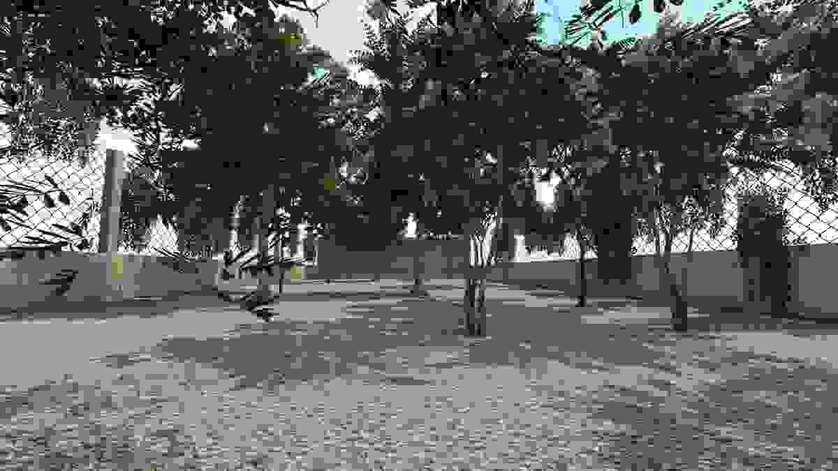 Section image