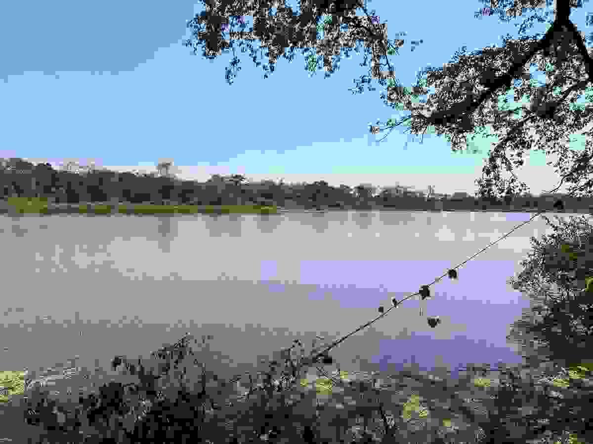 Section image