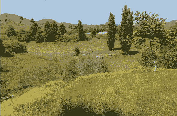 Section image