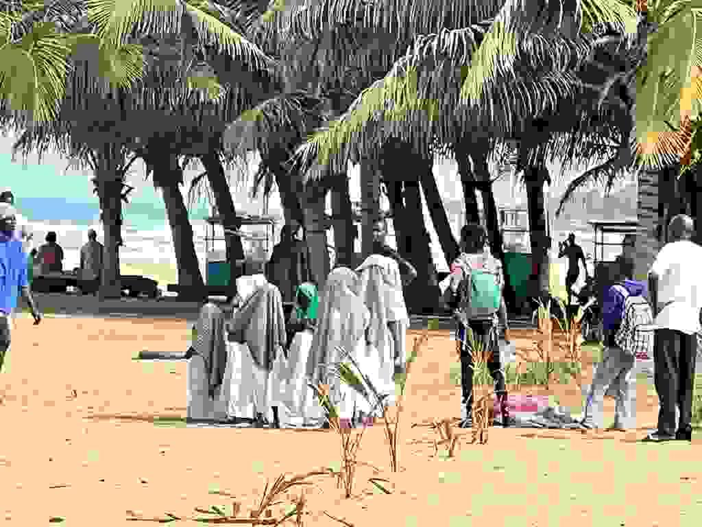 Section image