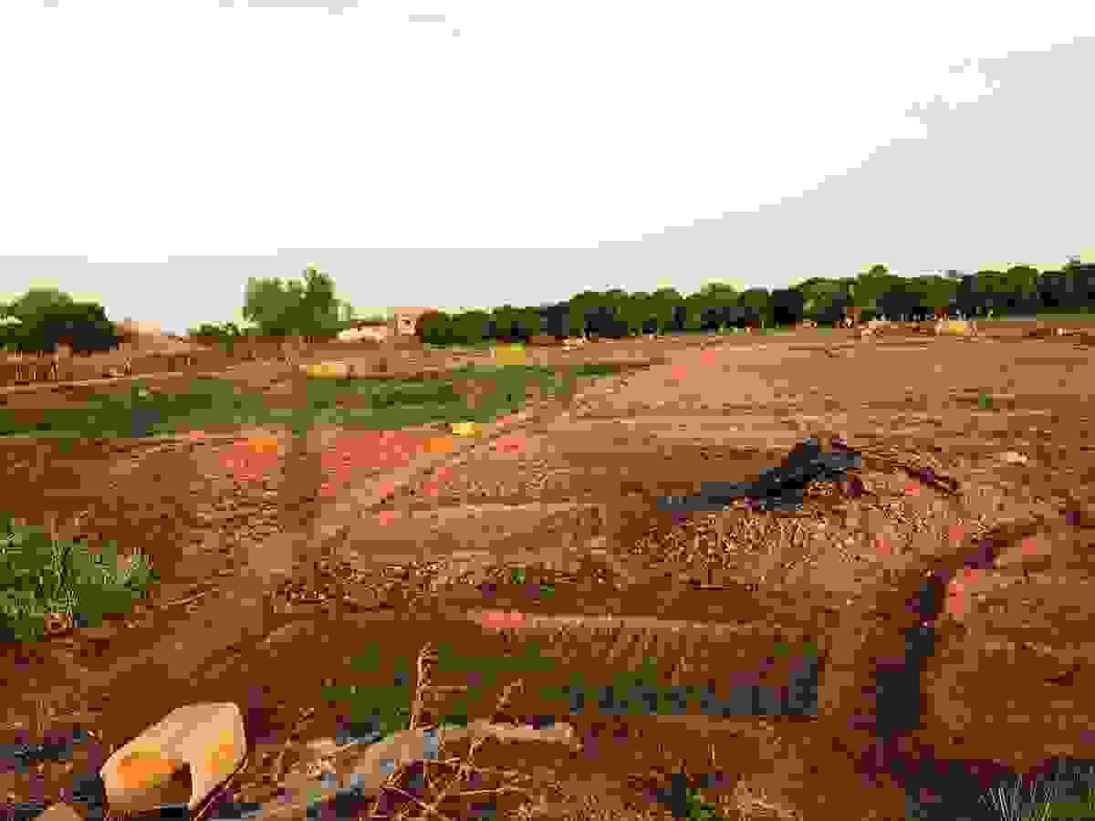 Section image