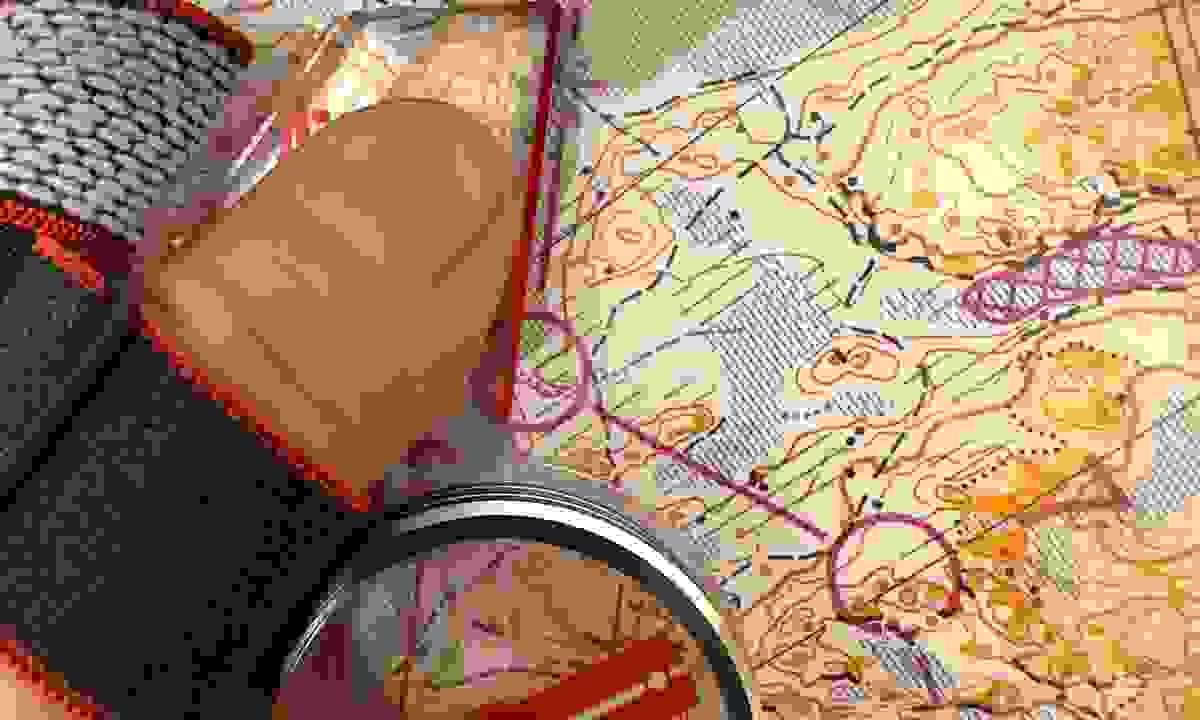Section image