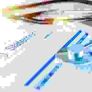 Section image