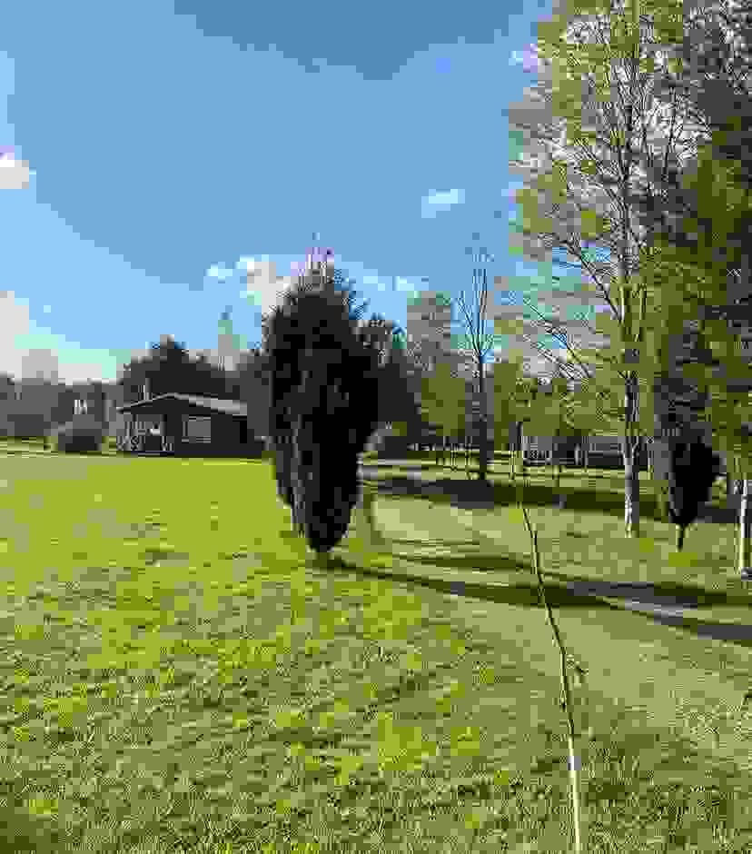 Section image