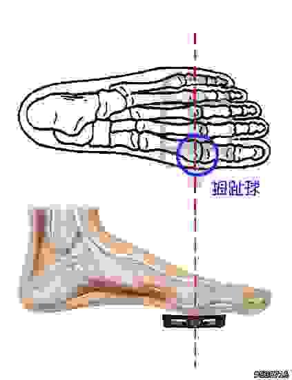 Section image
