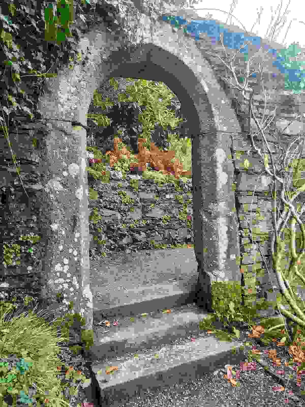 Delve into the art of crafting narratives that resonate deeply, connecting past, present, and future through imaginative storytelling. Story Weaving What I Offer I am a story seer, liminal chantress, and weaver of realms. Delve into the art of crafting narratives that resonate deeply, connecting past, present, and future through imaginative storytelling. Story Weaving What I Offer I am a story seer, liminal chantress, and weaver of realms.