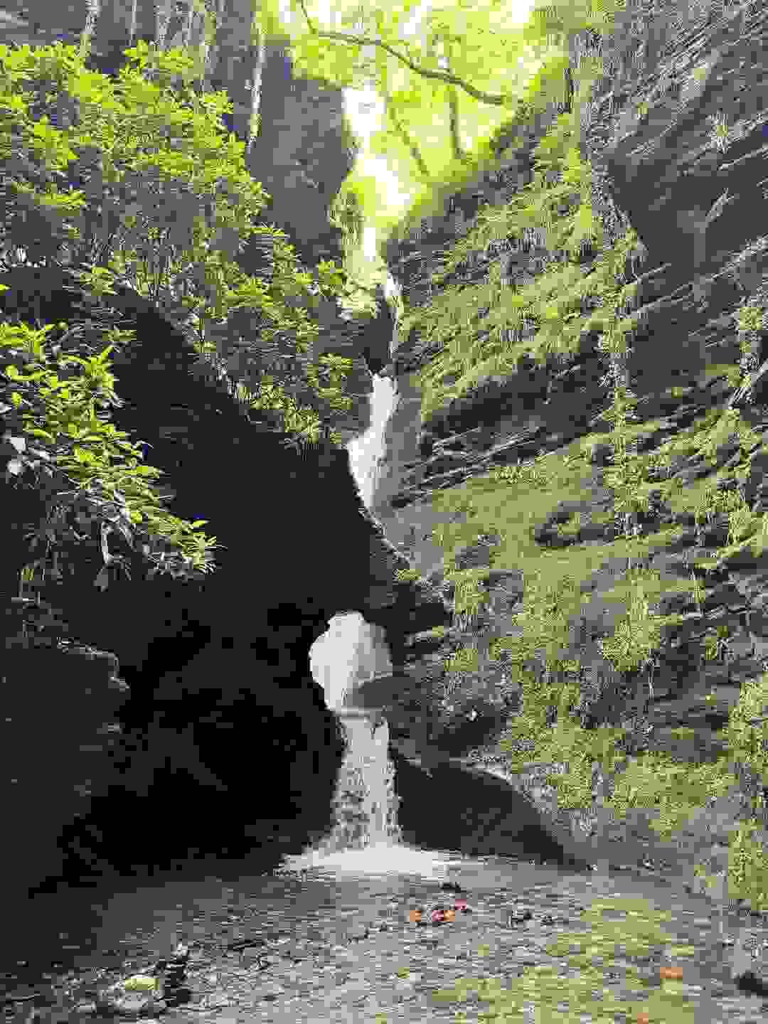 Engage with ancient traditions of chant that invoke healing and connection, facilitating deep inner work and empowerment. Chanting Rituals What I Offer I am a story seer, liminal chantress, and weaver of realms. Engage with ancient traditions of chant that invoke healing and connection, facilitating deep inner work and empowerment. Chanting Rituals What I Offer I am a story seer, liminal chantress, and weaver of realms.