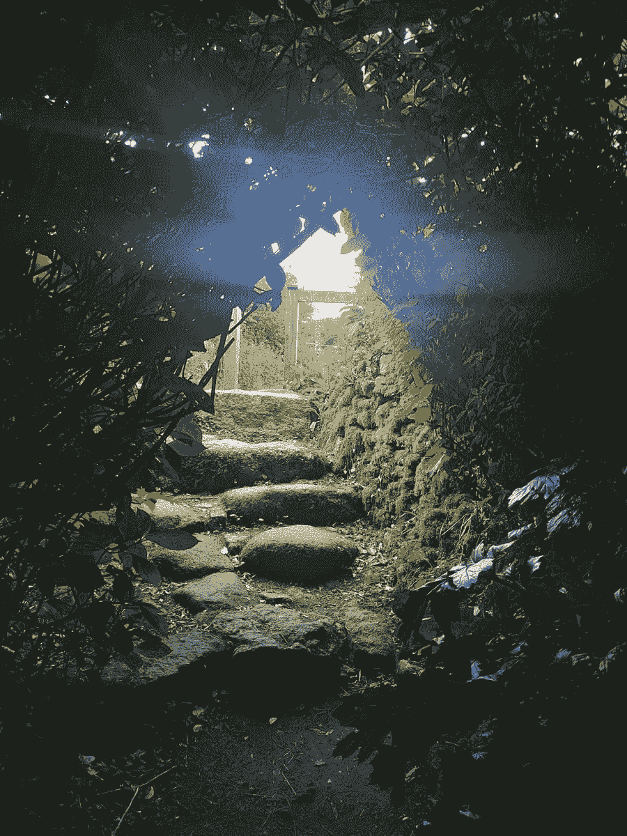 Engage with ancient traditions of chant that invoke healing and connection, facilitating deep inner work and empowerment. Chanting Rituals What I Offer I am a story seer, liminal chantress, and weaver of realms. Engage with ancient traditions of chant that invoke healing and connection, facilitating deep inner work and empowerment. Chanting Rituals What I Offer I am a story seer, liminal chantress, and weaver of realms.