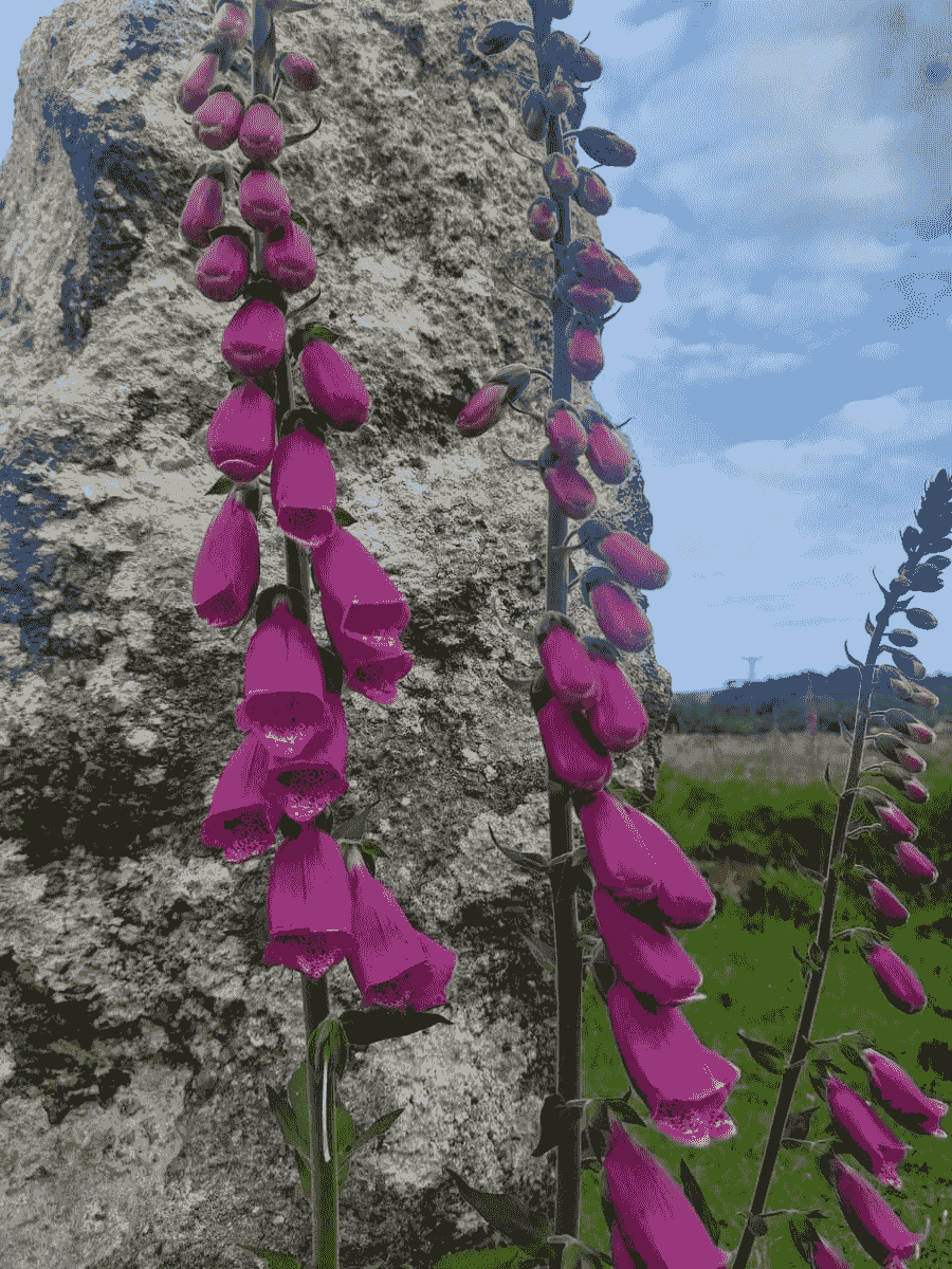 Experience the power of liminal spaces where transformation occurs, guiding you through the threshold of possibility. Liminal Spaces What I Offer I am a story seer, liminal chantress, and weaver of realms. Experience the power of liminal spaces where transformation occurs, guiding you through the threshold of possibility. Liminal Spaces What I Offer I am a story seer, liminal chantress, and weaver of realms.