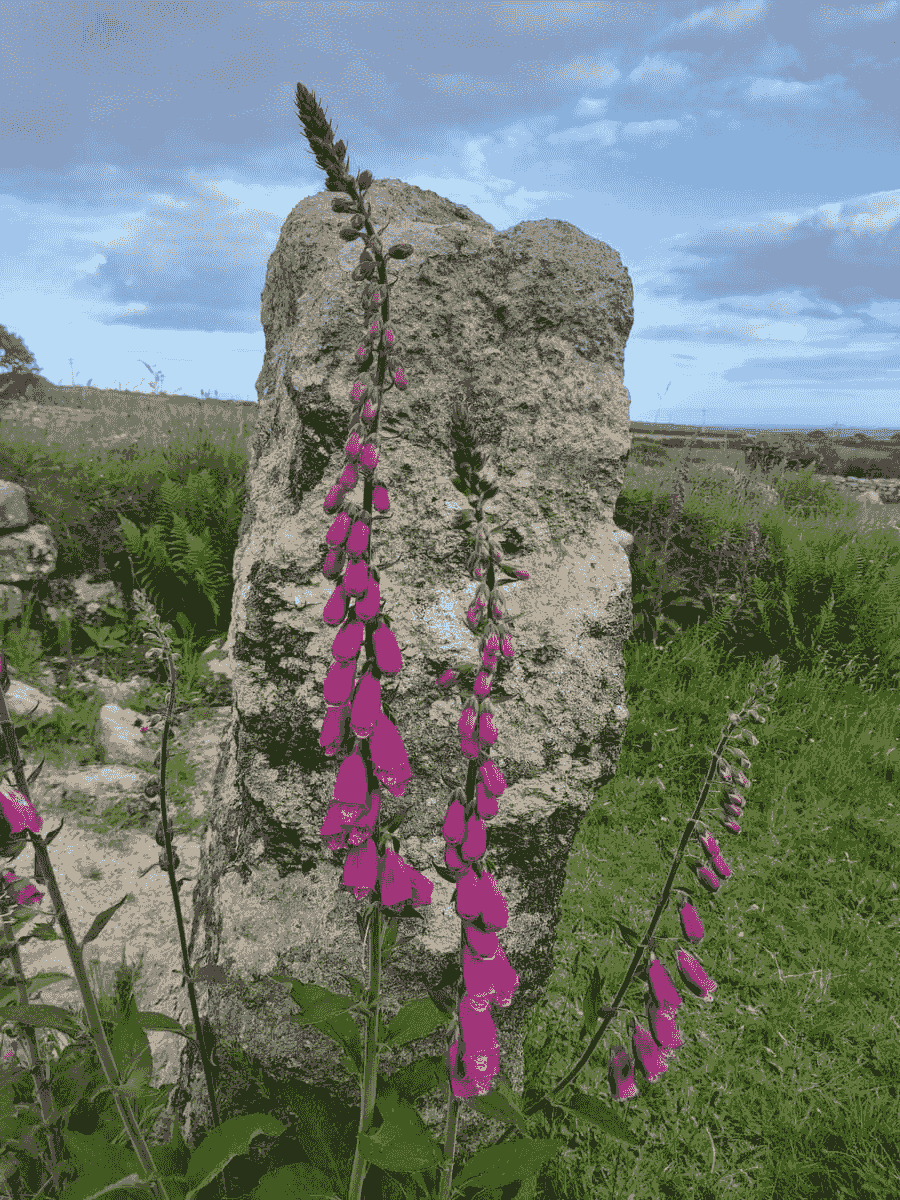 — Jake Ramirez “Charlie’s insights helped me navigate through my creative blocks. I felt truly seen and understood.” Discover how my guidance has transformed the journeys of countless seekers I am a story seer, liminal chantress, and weaver of realms. — Jake Ramirez “Charlie’s insights helped me navigate through my creative blocks. I felt truly seen and understood.” Discover how my guidance has transformed the journeys of countless seekers I am a story seer, liminal chantress, and weaver of realms.