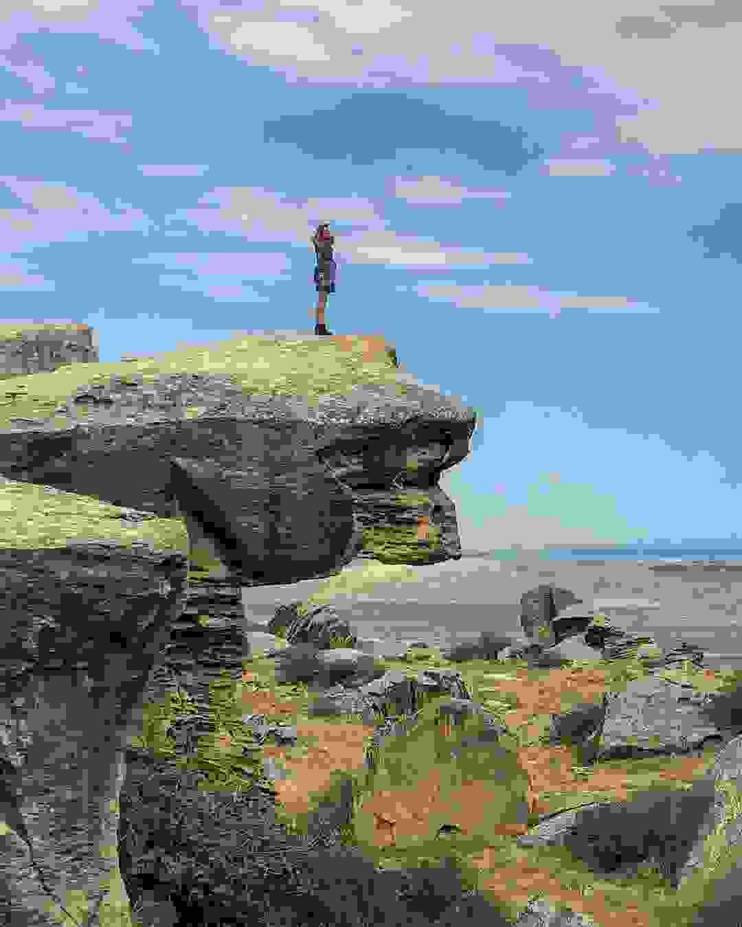 Section image