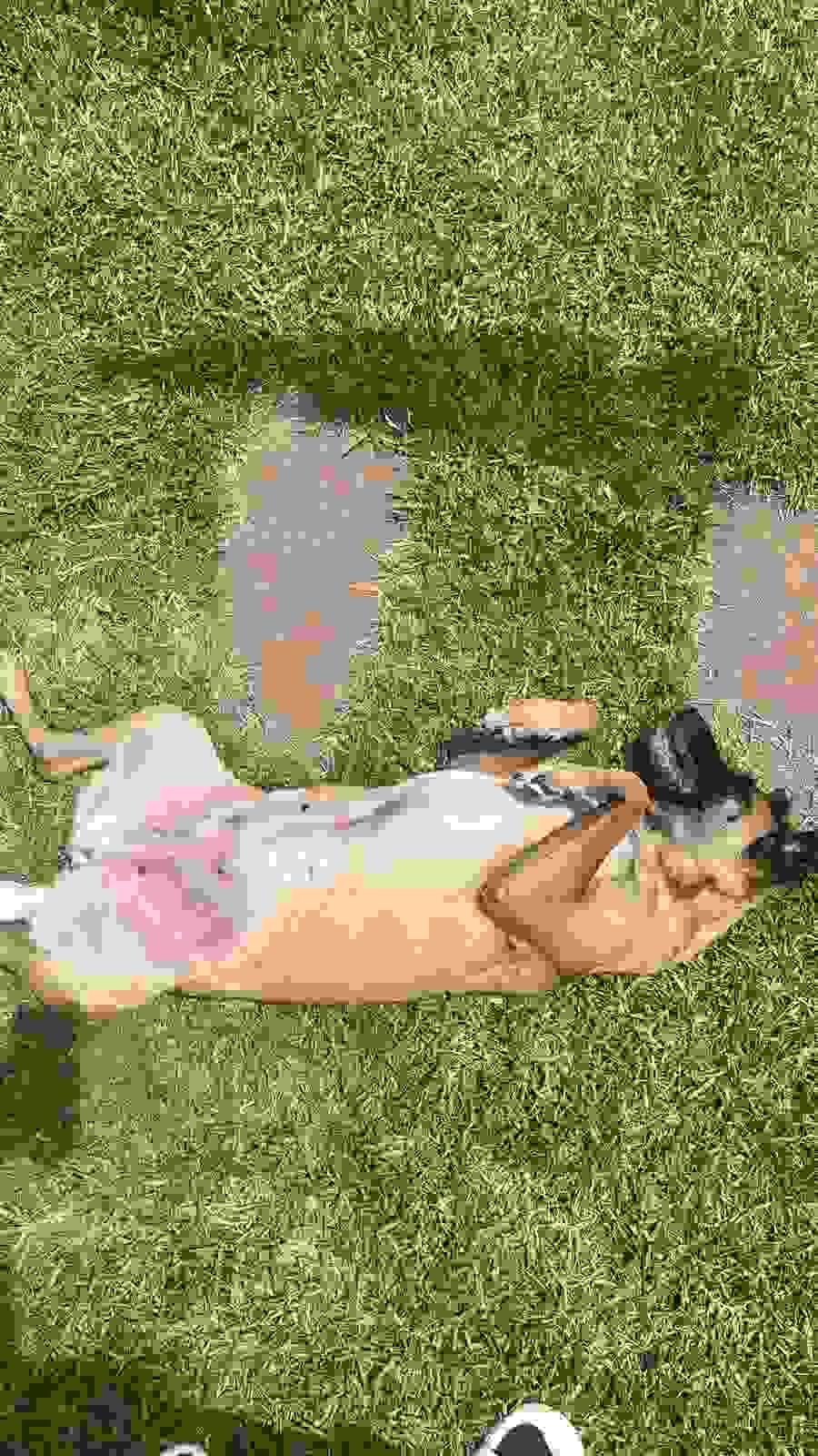 Our pet hotel offers a safe and comfortable environment where your dog or cat can relax and feel at home, surrounded by love and constant care. Safe Accommodation What do we offer PawHouse is a pet hotel at home where dogs and cats receive care, affection, and fun while their owners cannot attend to them. We offer safe accommodation, walks, games, daily photos, and personalized attention in a family environment full of love. Our pet hotel offers a safe and comfortable environment where your dog or cat can relax and feel at home, surrounded by love and constant care. Safe Accommodation What do we offer PawHouse is a pet hotel at home where dogs and cats receive care, affection, and fun while their owners cannot attend to them. We offer safe accommodation, walks, games, daily photos, and personalized attention in a family environment full of love.