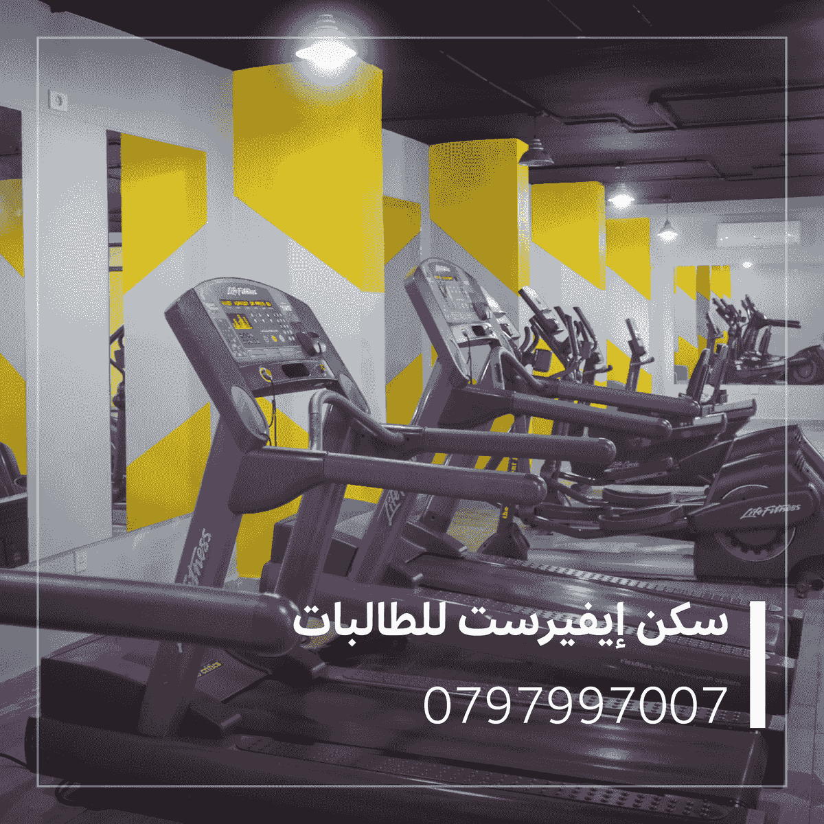 نادي رياضي مجهز داخل سكن ايفريست للطالبات في إربد. نادي رياضي مجهز داخل سكن ايفريست للطالبات في إربد.