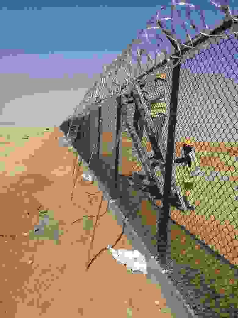 Section image