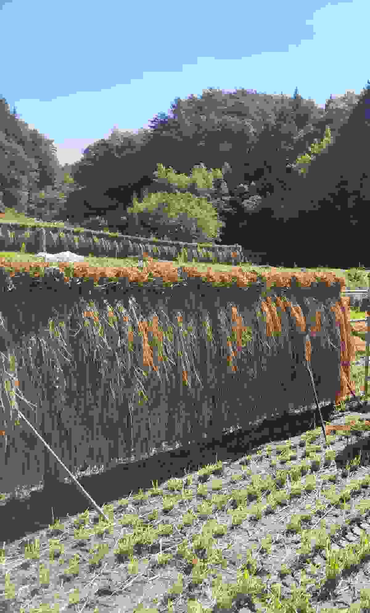 Section image