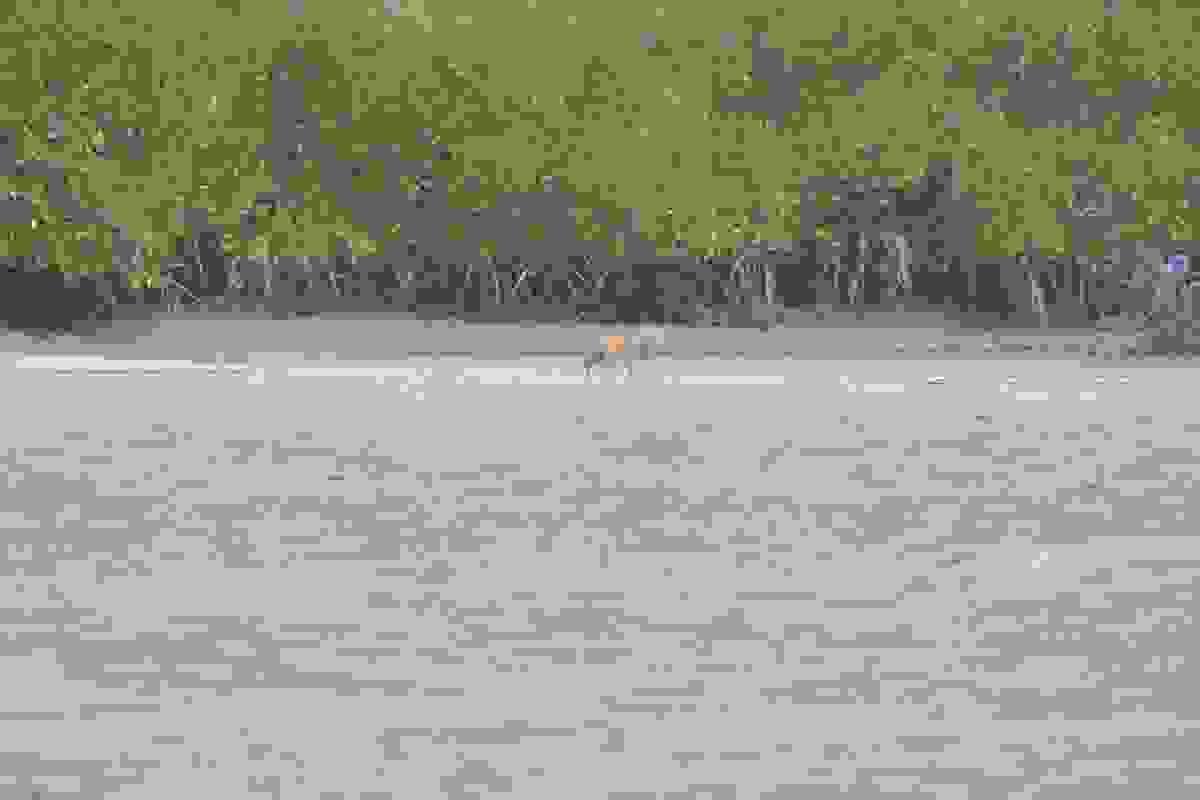 Section image