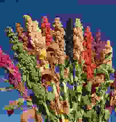 Section image