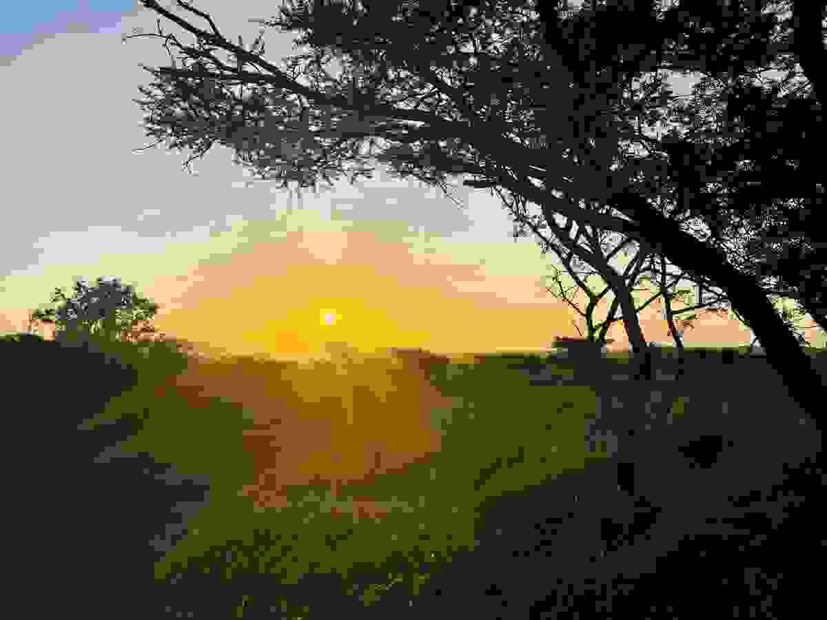 Section image