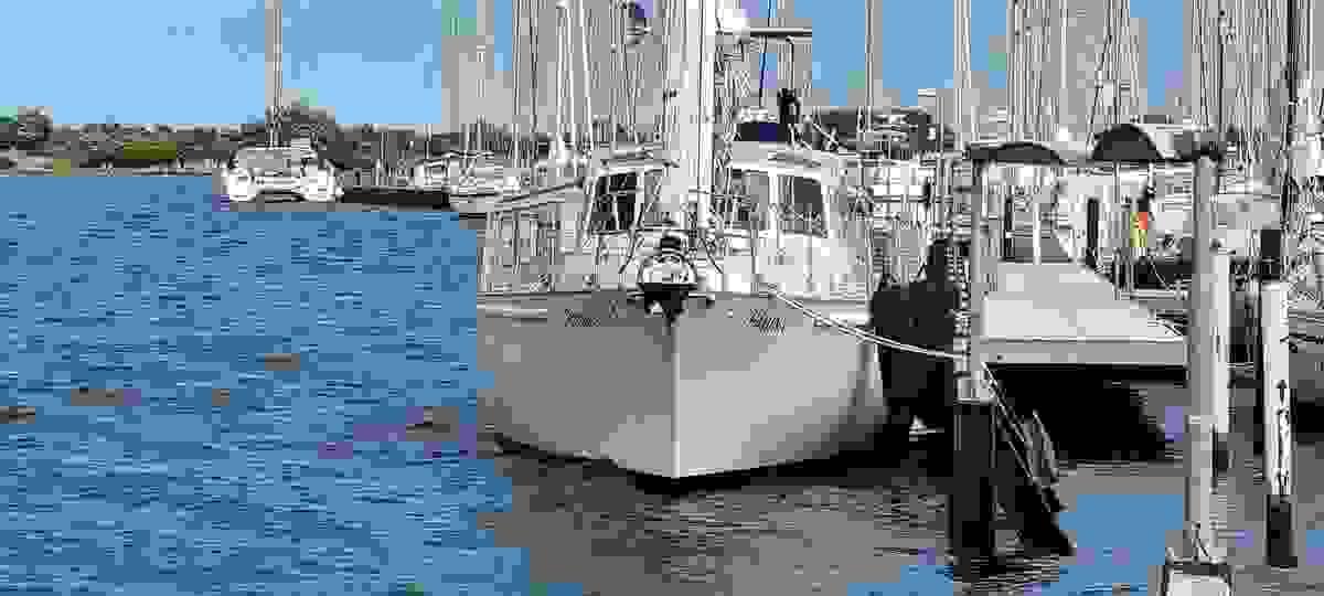 broken image