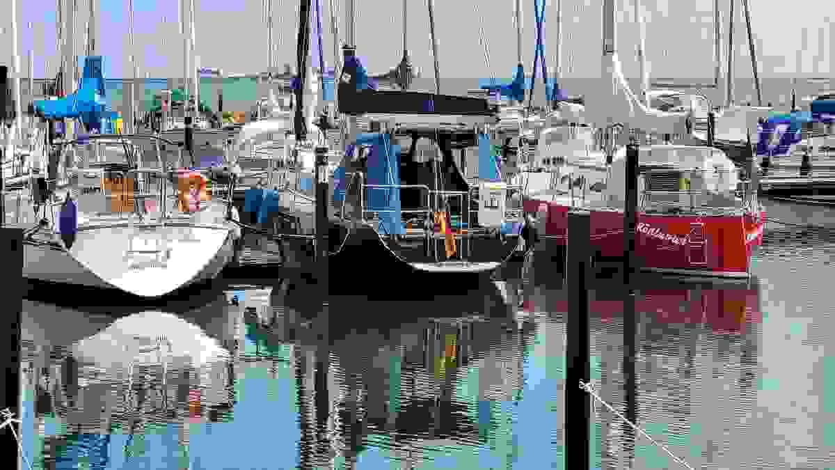 broken image