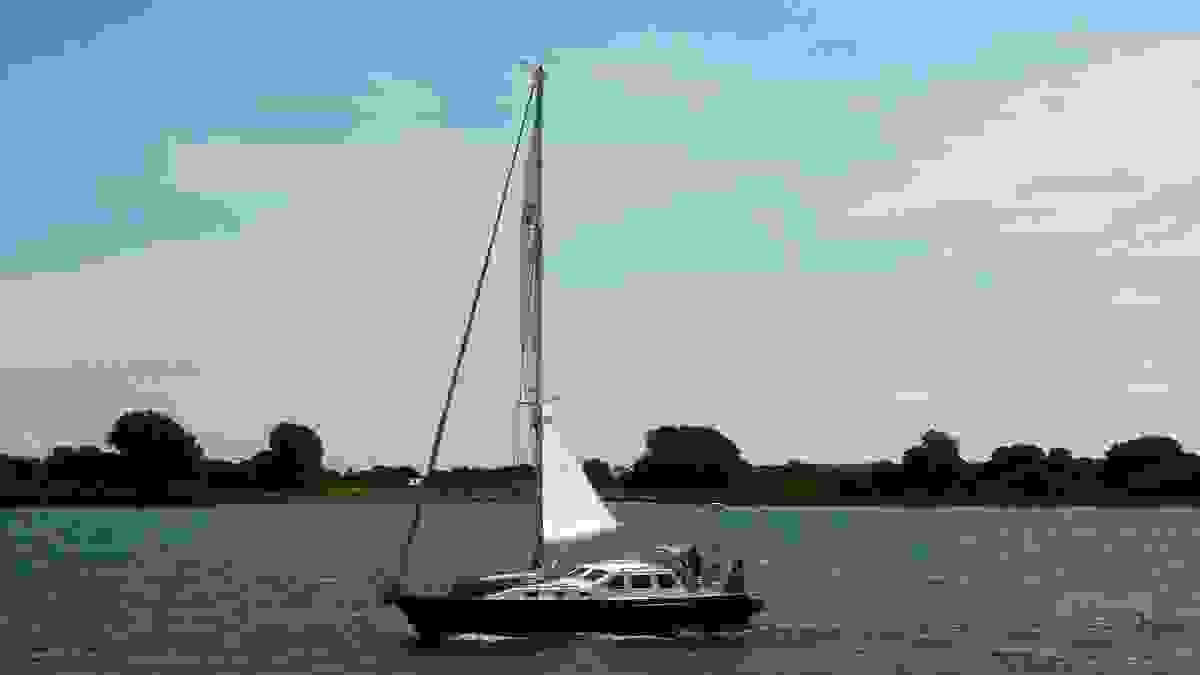 Section image