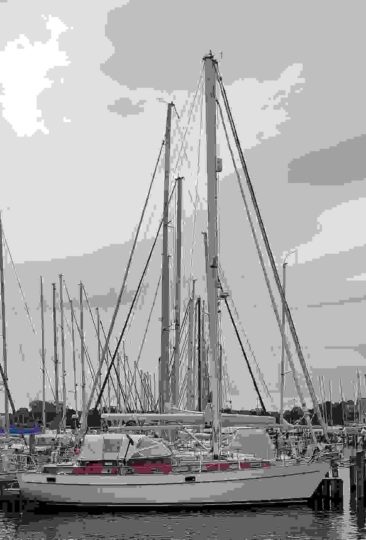 Section image
