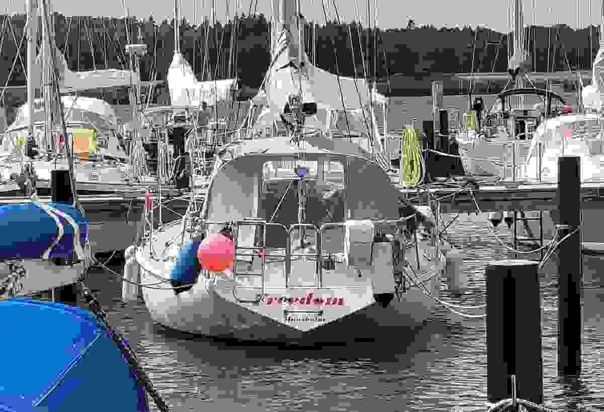 Section image