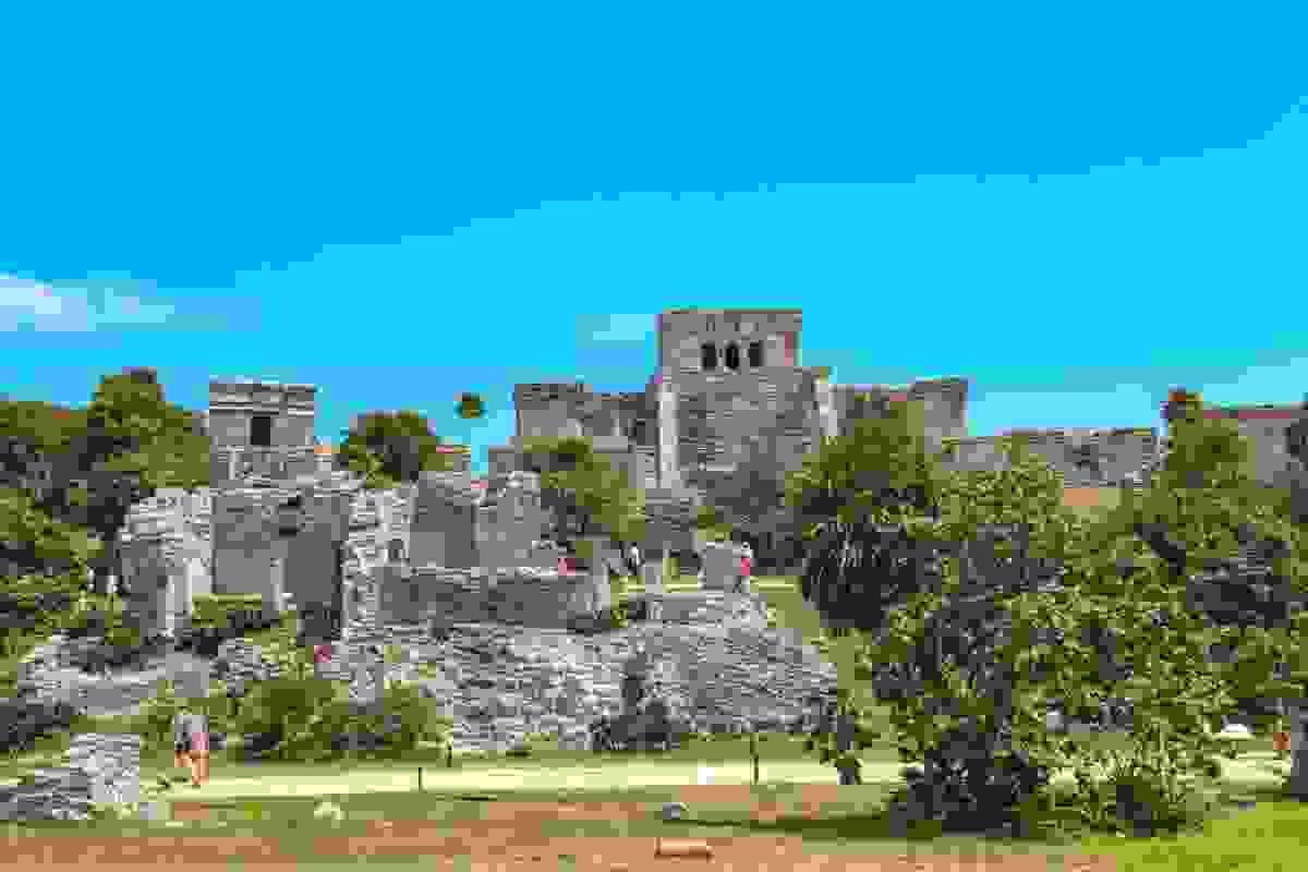 Section image