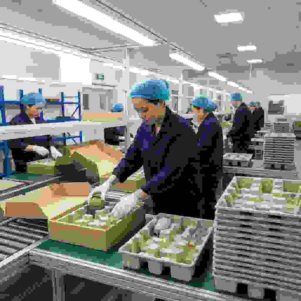 Eco-friendly molded pulp inserts being assembled on a factory line for home décor and lifestyle product shipping boxes. Eco-friendly molded pulp inserts being assembled on a factory line for home décor and lifestyle product shipping boxes.