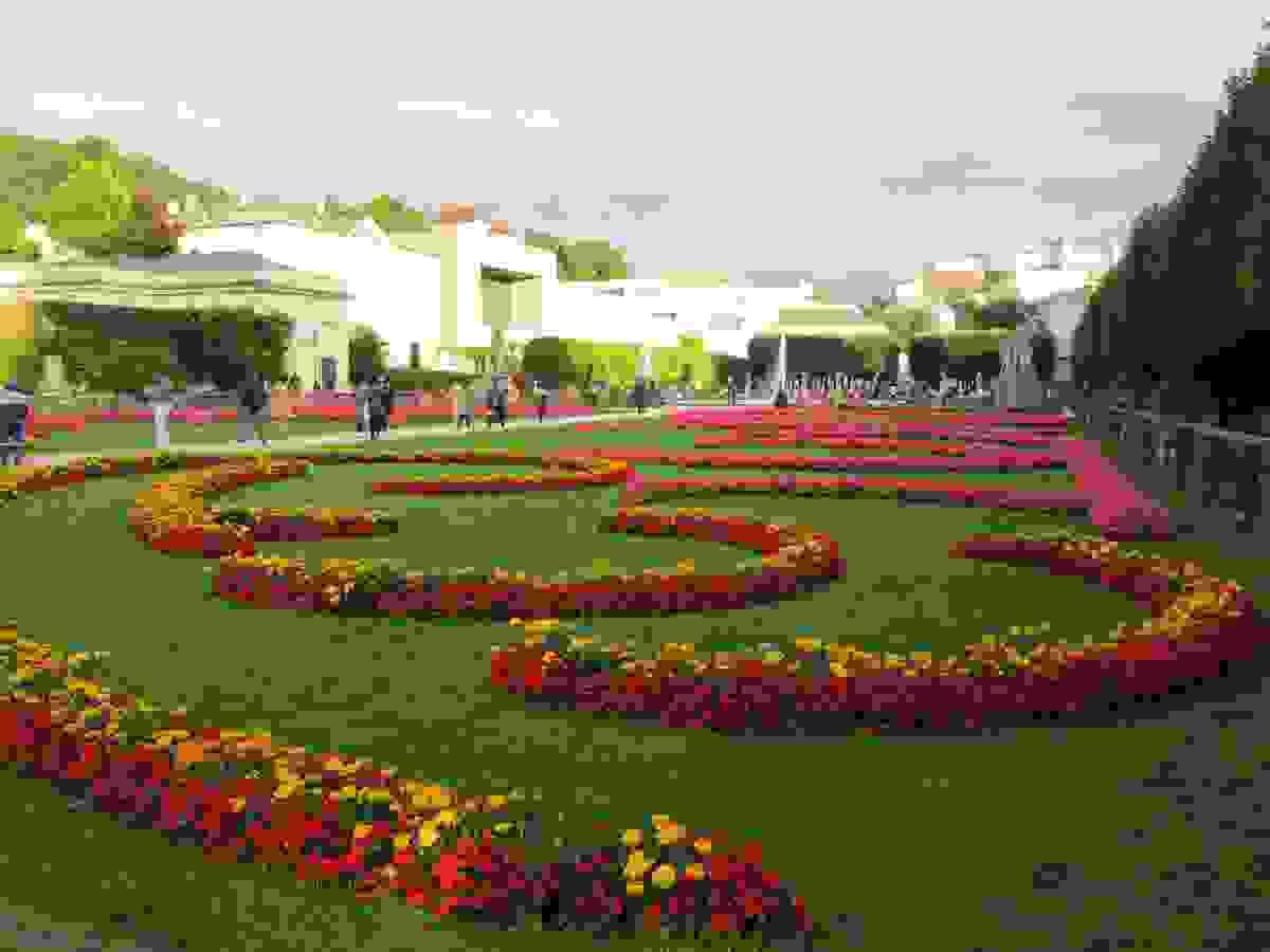 Section image